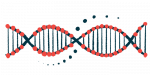 Illustration of a DNA strand highlights its double helix shape.