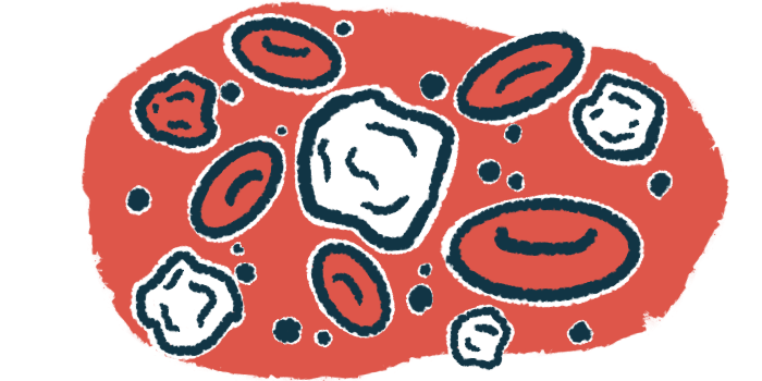 An image showing white blood cells, part of the immune system, with red blood cells and plasma.