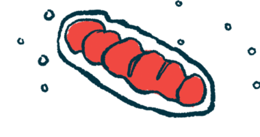 An illustration shows a close-up view of mitochondria, known as the powerhouse of a cell.