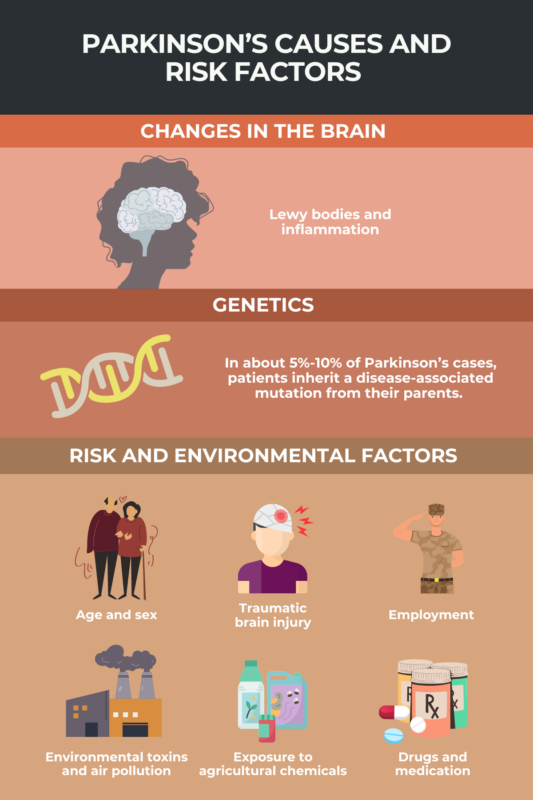 The causes and risk factors of Parkinson's