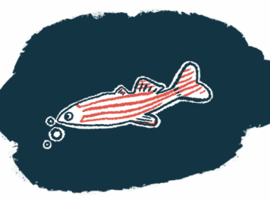 A zebrafish is shown swimming in an illustration.