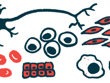 An illustration of the various cells that are targets of potential stem cell therapies.