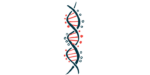 A close-up view of a single DNA strand shows its double-helix structure.