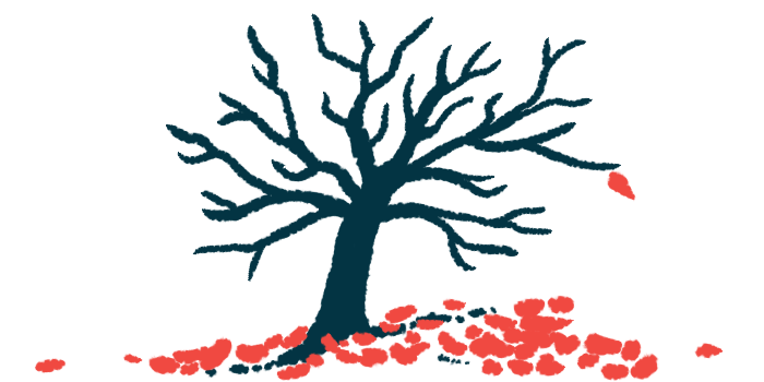 A tree shedding its leaves is shown in this illustration.