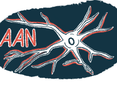 The acronym AAN is seen amidst this close-up view of a neuron in an illustration for the American Academy of Neurology Annual Meeting.
