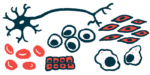 Illustration of different cell types in the body.