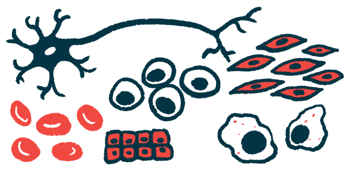 Illustration of different cell types in the body.