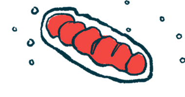 An illustration shows mitochondria.