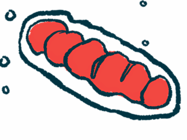 An illustration shows mitochondria.