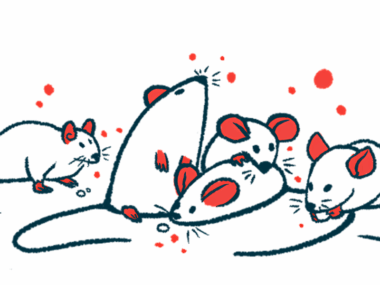 A group of mice is shown, with one nibbling on a food pellet between its paws.