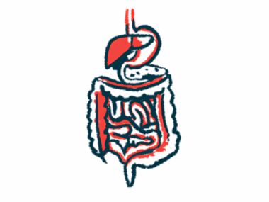 An illustration shows the human digestive system.