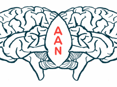 An illustration for the American Academy of Neurology Annual Meeting shows two brains in profile, back to back, with the acronym AAN connecting them.