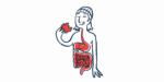 An illustration shows the digestive tract of a person eating an apple.
