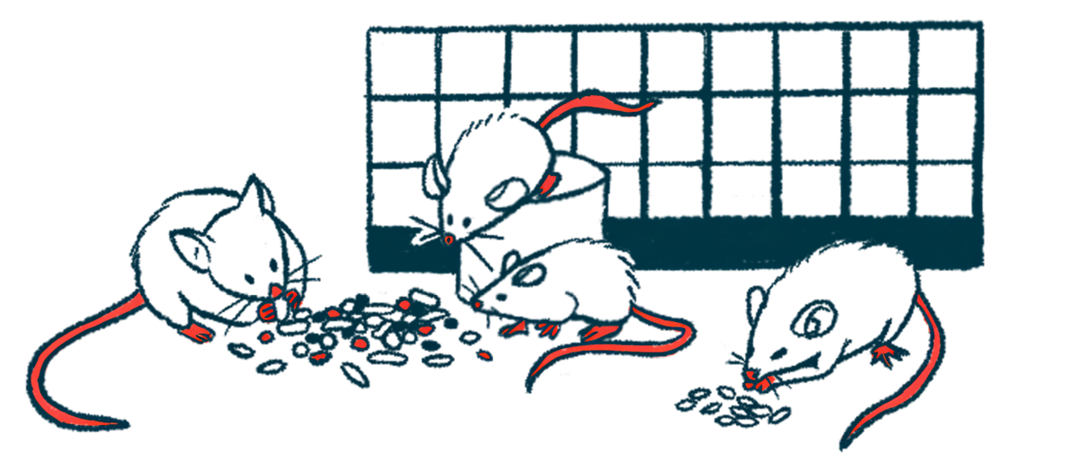 Mice are shown eating food pellets.