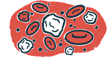 Illustration of white and red blood cells.