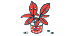 Google eyes are seen attached to the leaves of a potted plant and scattered around it.