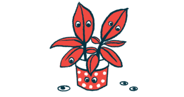 Google eyes are seen attached to the leaves of a potted plant and scattered around it.