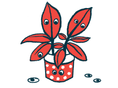 Google eyes are seen attached to the leaves of a potted plant and scattered around it.