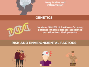 Illustration shows the causes and risk factors of Parkinson's.